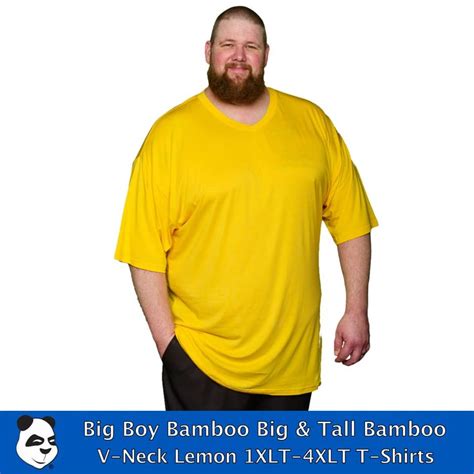 Tall 1xlt 4xlt V Neck T Shirt For Men Tall Short Sleeve V Neck Tee By Big Boy Bamboo