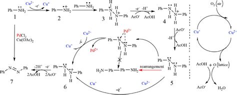 Plausible Mechanism Of The Synthesis Of Azo Compounds Catalyzed By