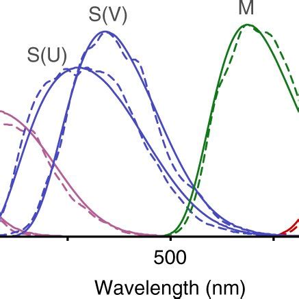 Spectral Sensitivities Of Avian Cones And Multispectral Camera