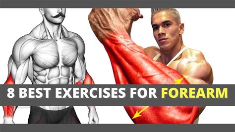 8 Best Exercises For Bigger Forearms Dumbbell Workout Youtube