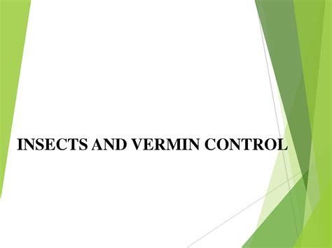 SOLUTION: Insects and vermin control - Studypool