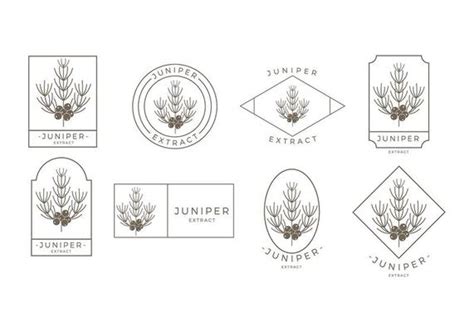 Juniper Vector Art, Icons, and Graphics for Free Download