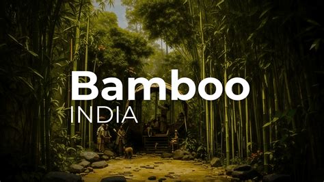 Bamboo India Redesign Logo Concept Behance