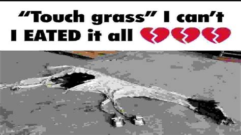 I Eated All The Grass 😭💔 Youtube