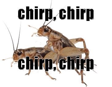 Crickets chirping Memes