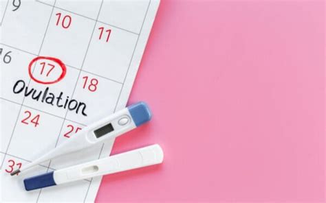 How do ovulation test strips work? - Baby Care Mag