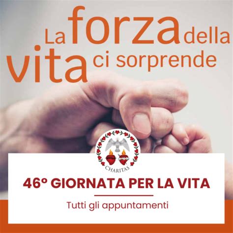 Giornata Nazionale Per La Vita La Forza Della Vita Ci Sorprende