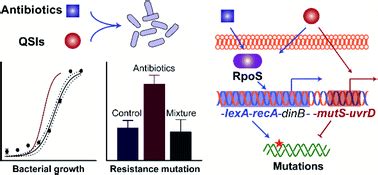 Joint Effects Of Antibiotics And Quorum Sensing Inhibitors On