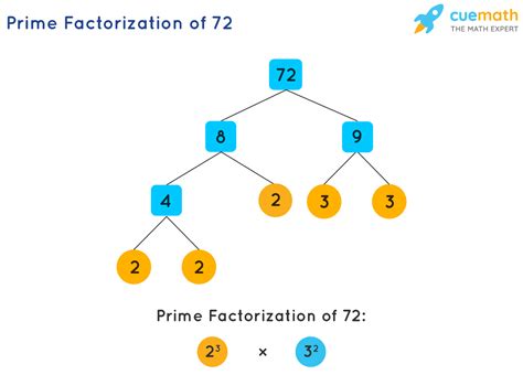 Prime Factorization How To Find Prime Factorization Of Numbers