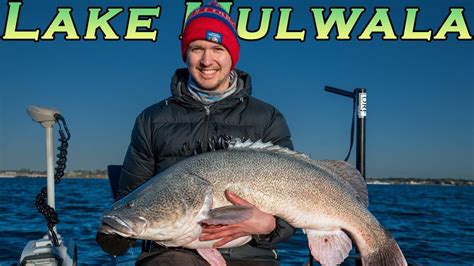 A Successful End To The Murray Cod Season At Lake Mulwala Youtube