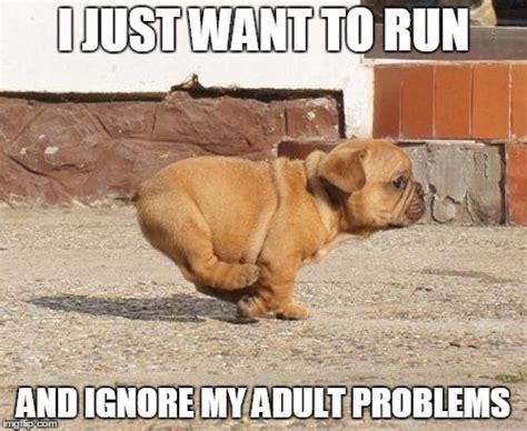 30 Funniest Running Memes Runners Will Find Hillarious