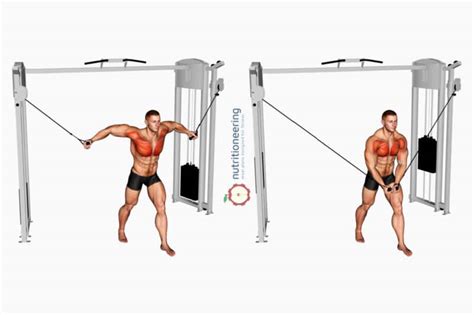 21 Cable Chest Exercises For Upper Lower Mid Pec Workout