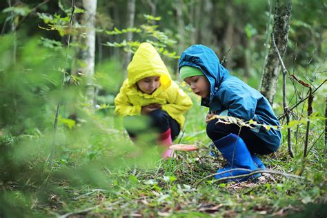 Best Forest School Activities For Large Groups Thimble And Twig