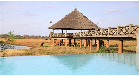 Voi Wildlife Lodge Accommodation In Tsavo East