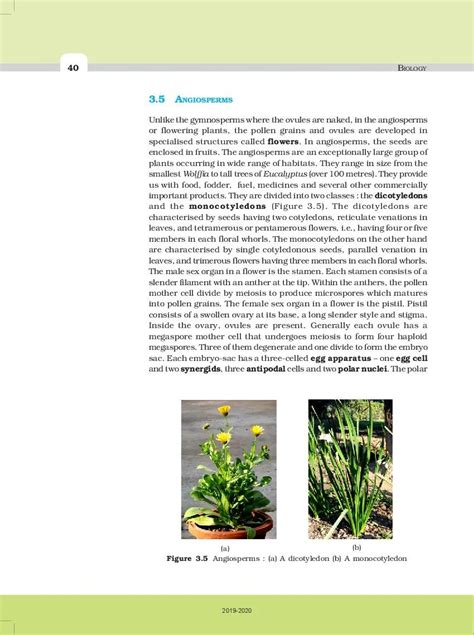 Ncert Book Class 11 Biology Chapter 3 Plant Kingdom Pdf New 2023 24