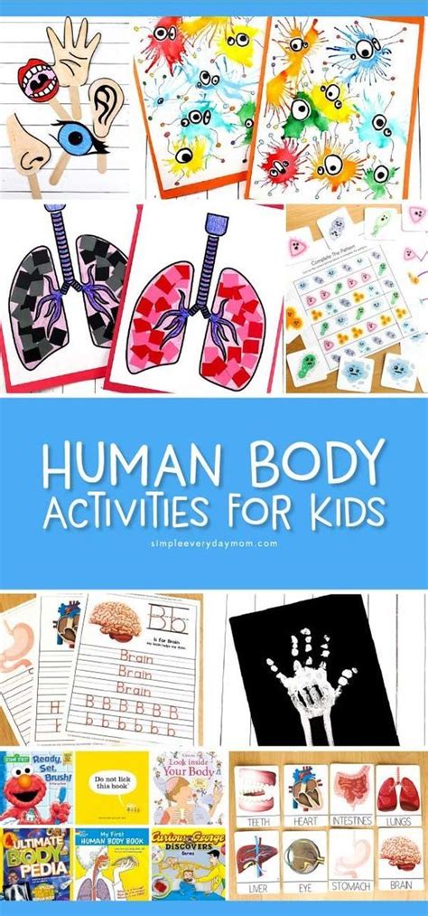 Interesting Human Body Crafts And Activities For Kids Human Body