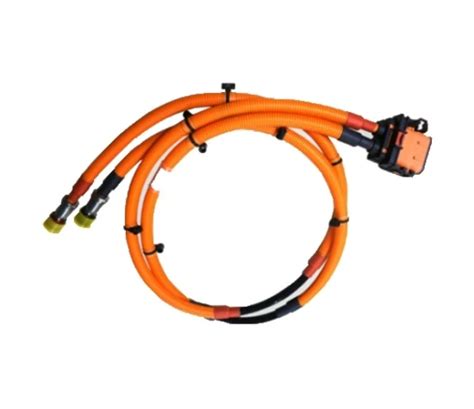 Custom Wiring Harness Electric Vehicle High Voltage Cable Harness