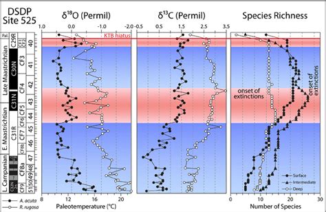 Stable Isotope Data Of Planktic Rugoglobigerina Rugosa And Benthic