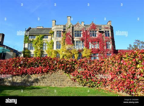 Bagshot park hi-res stock photography and images - Alamy