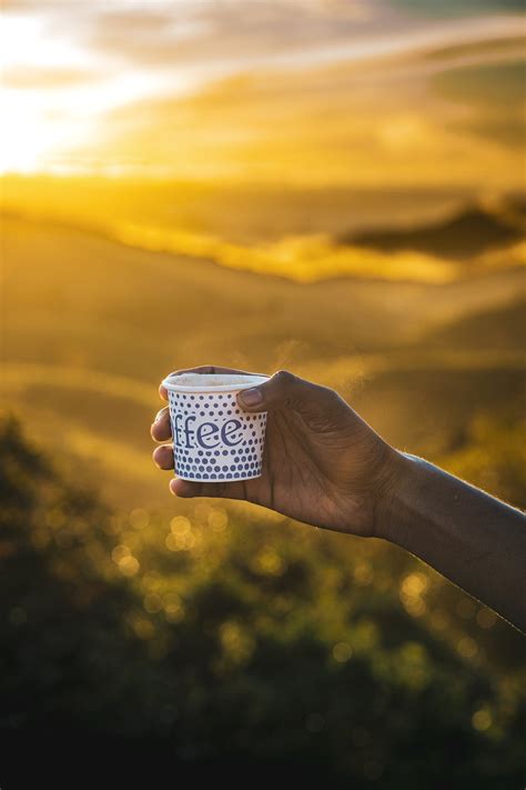 Coffee Cup Sunlight Free Photo On Pixabay Pixabay