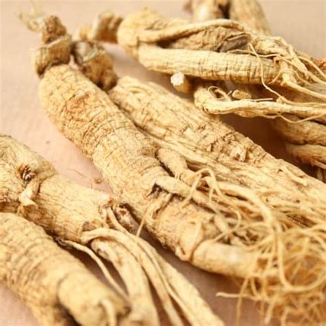 Health Benefits Of Ginseng All You Need To Know About Ginseng