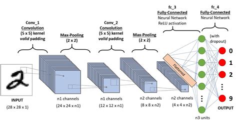 An Overview Of Convolutional Neural Networks Papers With Code