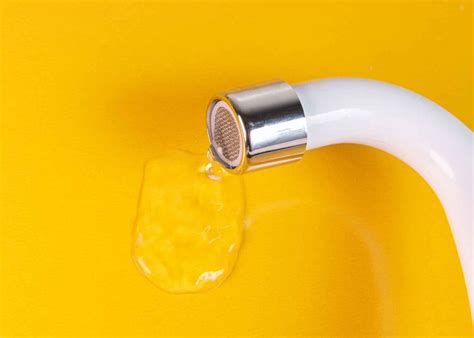 Inflamações na vulva e na vagina saiba como ocorre e qual é o