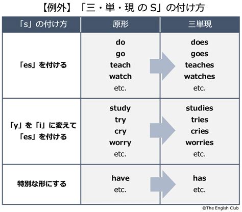 英語【動詞】話すための基礎を徹底解説※中学の全動詞一覧付