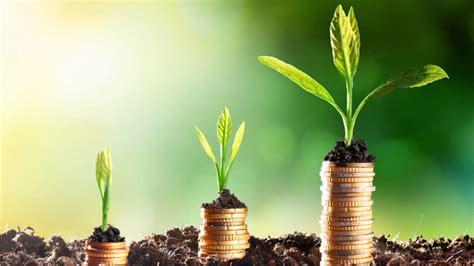 top microfinance institutions  kenya sino soft classifieds