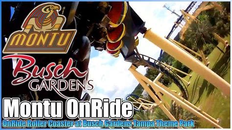 MontuOnRide Roller Coasterlast Row POVBusch Gardens Tampa Florida