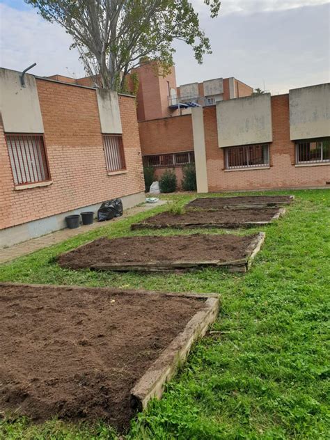 Mantenimiento De Los Huertos Escolares Del Distrito De Carabanchel