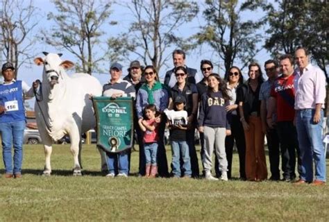 Jornal Sudoeste Do Estado Vaca Arrematada Por Quase R Milh Es Em