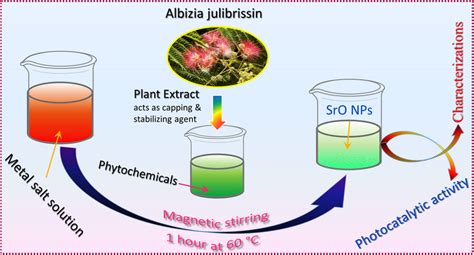 Schematic Illustration Of The Green Synthesis Procedure For Sro