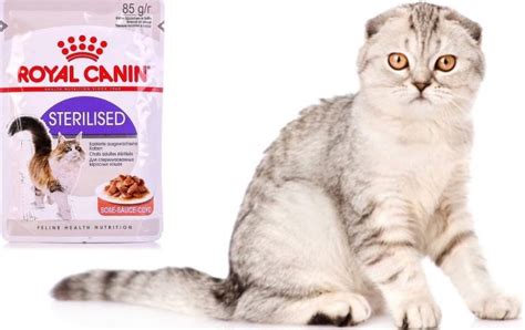 ROYAL CANIN Voor Gesteriliseerde En Gecastreerde Katten Droog En