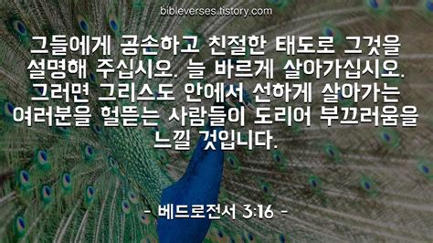 베드로전서 3 16 성경