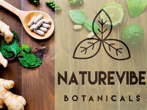 Naturevibe Botanicals Ginger Root Capsules Organic Ginger Root