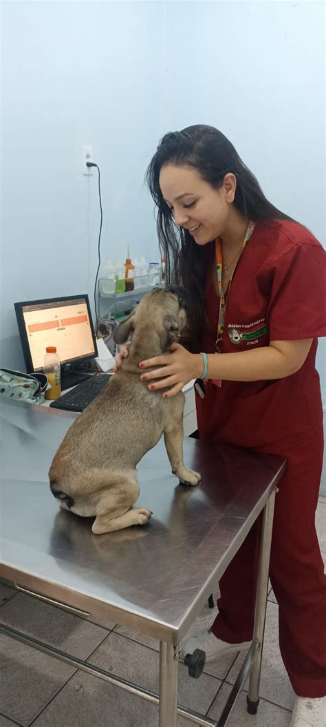 Vista Alegre Apaixonados Por Quatro Patas