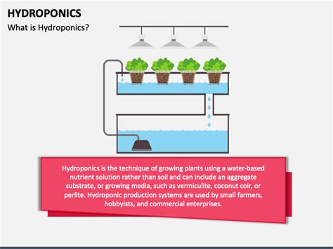 Hydroponics Powerpoint And Google Slides Template Ppt Slides