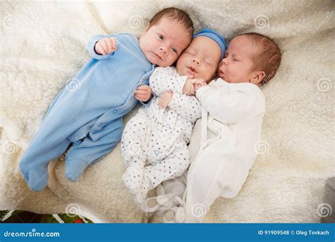 Portrait Of Newborn Triplets Stock Photo Image Of Born Happy 91909548