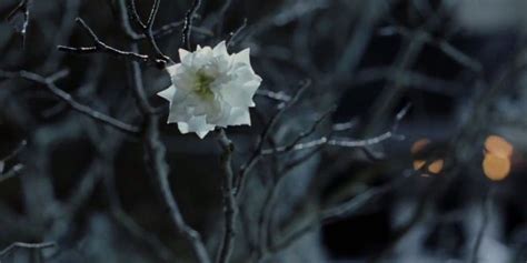 LOTR: There Is A Secret About The White Tree Of Gondor That Is Kept Out ...