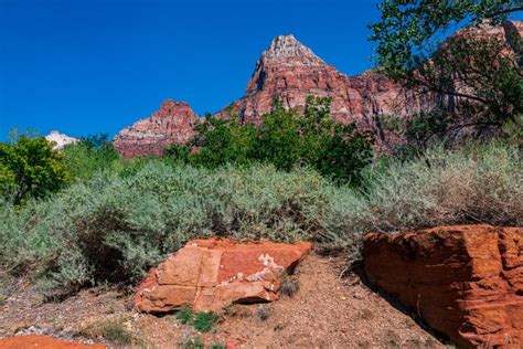 Mt. Zion in Zion National Park Stock Image - Image of national ...