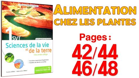 Sigma Ac Svt Page La Nutrition Chez Les Plantes Youtube