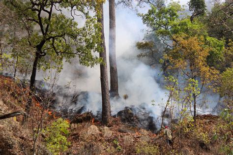 Sigue el combate al incendio en Tepoztlán Línea Caliente Noticias