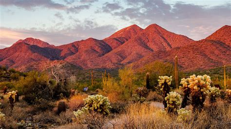 15 Fun And Unique Things To Do In Scottsdale Arizona Tripadvisor