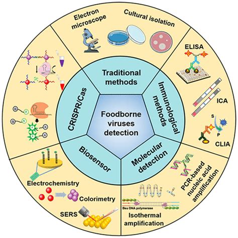 Detection Methods For Foodborne Viruses Current State Of Art And