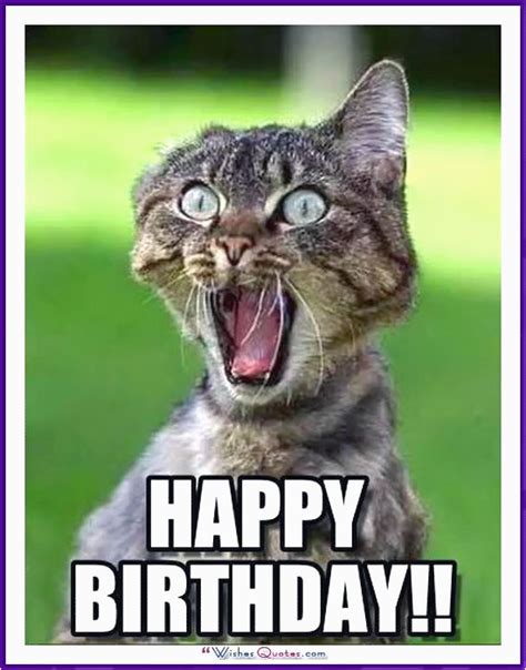 Funny Animal Birthday Memes | BirthdayBuzz