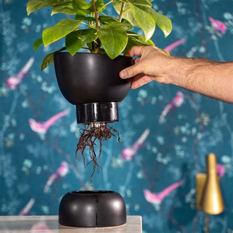 Ceramic Self Watering Planter The Ultimate Guide To Stylish And Efficient Plant Care Lets