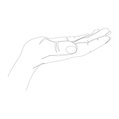 Hands Holding Objects Line Illustration Hand Drawing Reference Hand ...