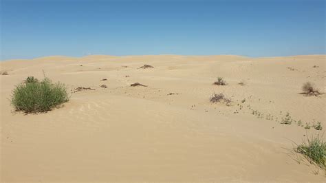 Пустыни Каракум (73 фото)