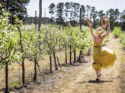 Stanthorpe | Southern Queensland Country